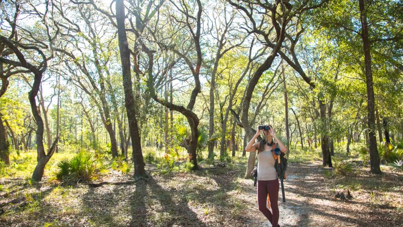 Woman hiking at Wekiwa looking through binoculars 