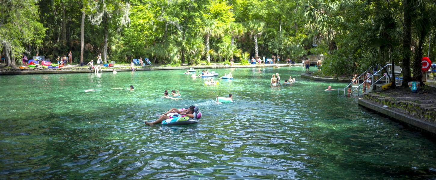 Swimmers at Wekiwa