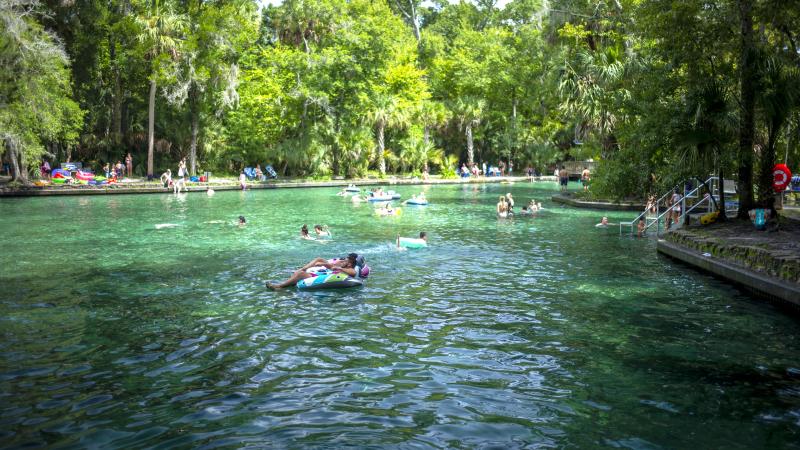 Swimmers at Wekiwa