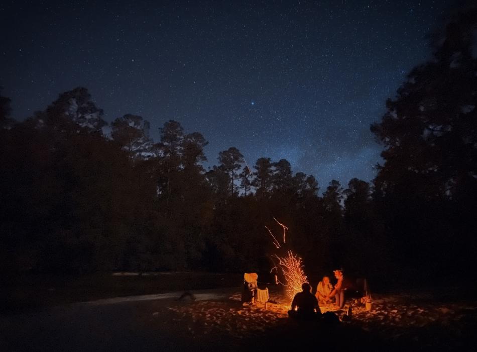 Campfire
